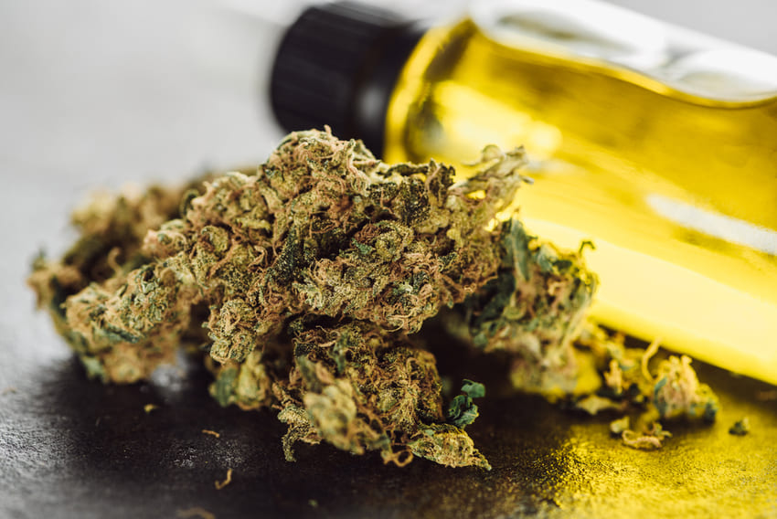 cbd legal espa&ntilde;a